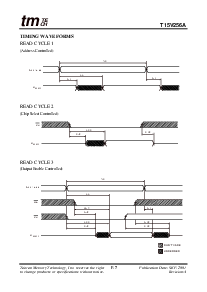浏览型号T15V256A的Datasheet PDF文件第7页