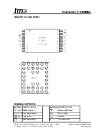 浏览型号T15V2M08A的Datasheet PDF文件第2页