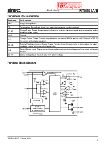 浏览型号RT9501BPF的Datasheet PDF文件第3页