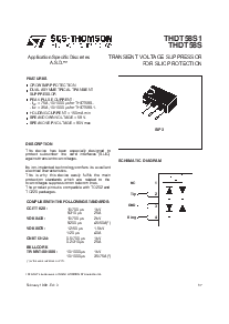 浏览型号THDT58S的Datasheet PDF文件第1页