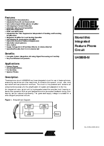 浏览型号U4089B-M的Datasheet PDF文件第1页