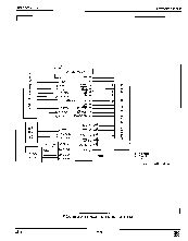 浏览型号WD37C65B的Datasheet PDF文件第8页