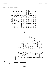 ͺ[name]Datasheet PDFļ8ҳ