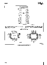 浏览型号82C288-10的Datasheet PDF文件第2页