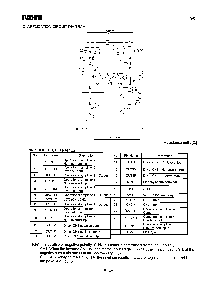 浏览型号BA5929FP的Datasheet PDF文件第3页