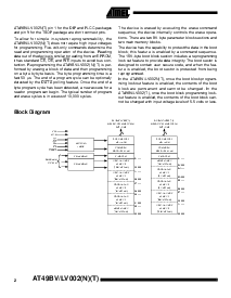 浏览型号AT49LV002NT-90TC的Datasheet PDF文件第2页