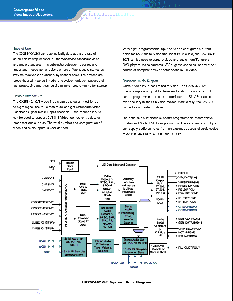 浏览型号CX25843的Datasheet PDF文件第2页