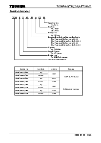 浏览型号TC58FVM5T3AXB65的Datasheet PDF文件第2页