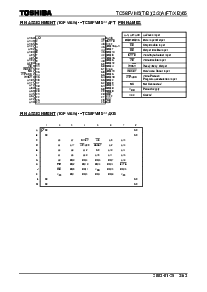 浏览型号TC58FVM5T3AXB65的Datasheet PDF文件第3页