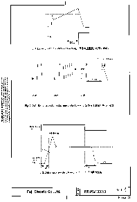 ͺ[name]Datasheet PDFļ8ҳ