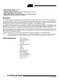 浏览型号TSC87251G2D-24IA的Datasheet PDF文件第2页