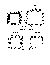 浏览型号80186-10B的Datasheet PDF文件第2页