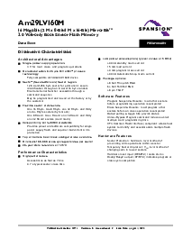 浏览型号AM29LV160MT100PCI的Datasheet PDF文件第3页