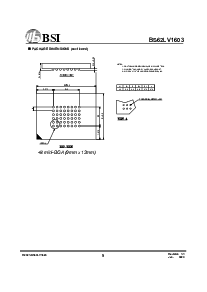 浏览型号BS62LV1603EC-55的Datasheet PDF文件第9页