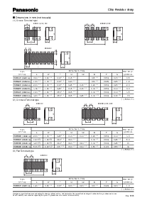 浏览型号EXB24V的Datasheet PDF文件第2页